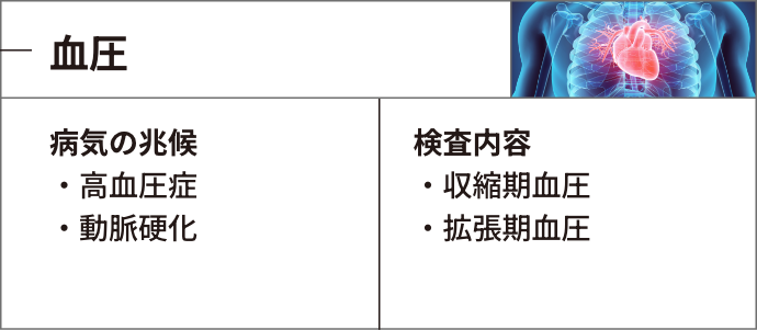 血圧：病気の兆候＞・高血圧症・動脈硬化、検査内容＞・収縮期血圧・拡張期血圧