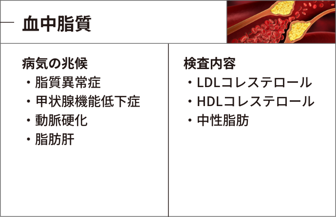 血中脂質：病気の兆候＞・脂質異常症・甲状腺機能低下症・動脈硬化・脂肪肝、検査内容＞・LDLコレステロール・HDLコレステロール・中性脂肪