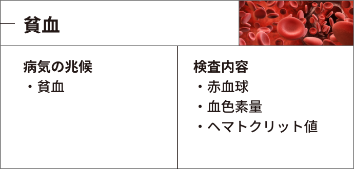 貧血：病気の兆候＞・貧血、検査内容＞・赤血球・血色素量・ヘマトクリット値